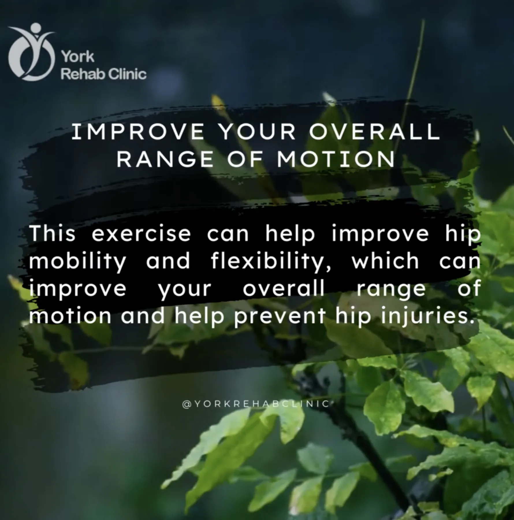 Improve your overall range of motion